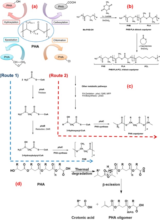 © https://doi.org/10.1016/j.pmatsci.2024.101336